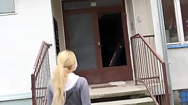 Zingaro, Ceco Bionda