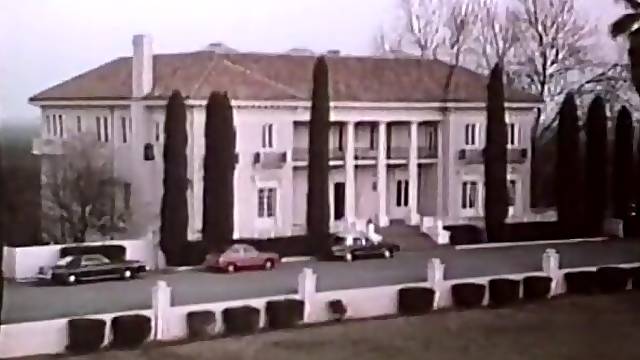 Cavalieri, Vintage Completi, Ultima Scopata