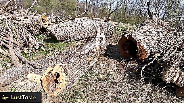 Italiano 18 Amatoriale, Italiano Nel Bosco, Figa Aperta Italiana