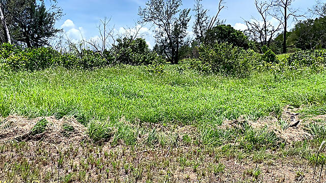 Wifeydoes Have the Best Amateur Tits for Flashing!